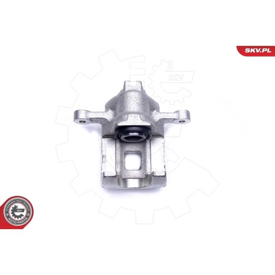 42SKV464 - Brake Caliper 