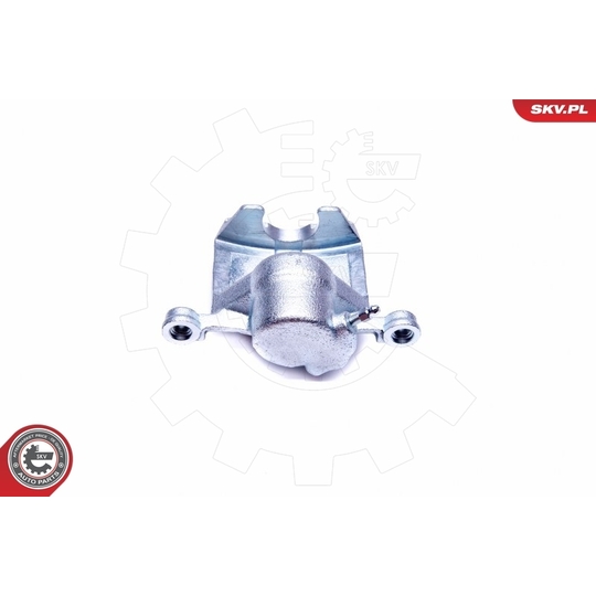 42SKV774 - Brake Caliper 