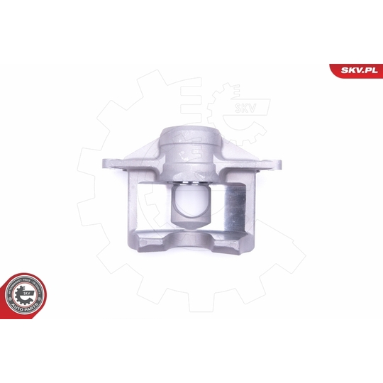 50SKV392 - Brake Caliper 