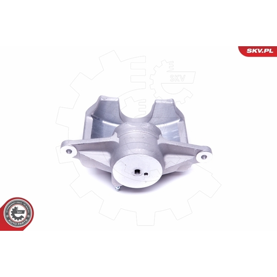 50SKV392 - Brake Caliper 