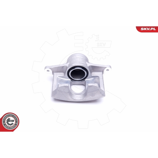 50SKV392 - Brake Caliper 