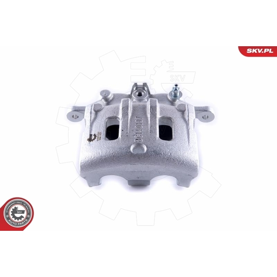 55SKV521 - Brake Caliper 