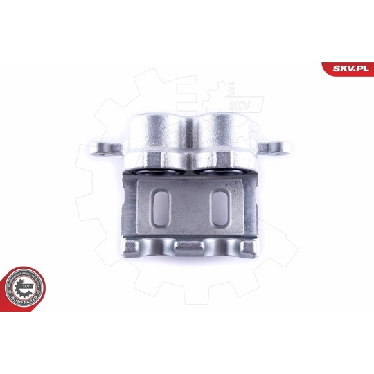 55SKV521 - Brake Caliper 