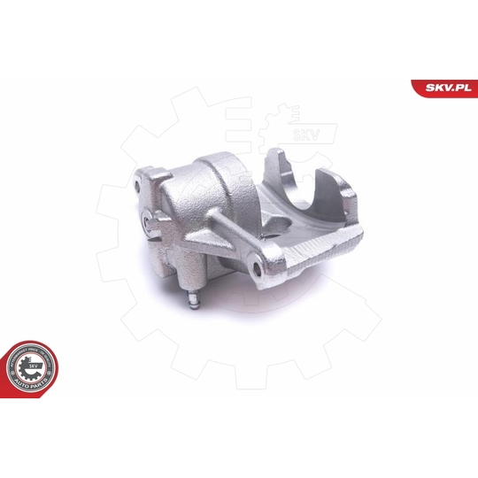 56SKV001 - Brake Caliper 