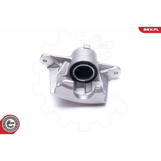 56SKV001 - Brake Caliper 