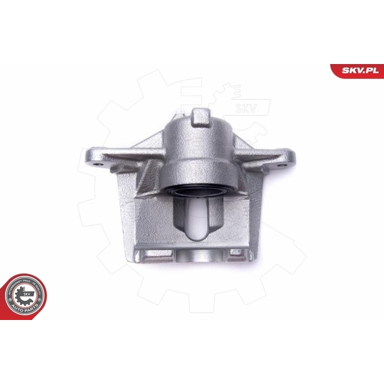 56SKV001 - Brake Caliper 