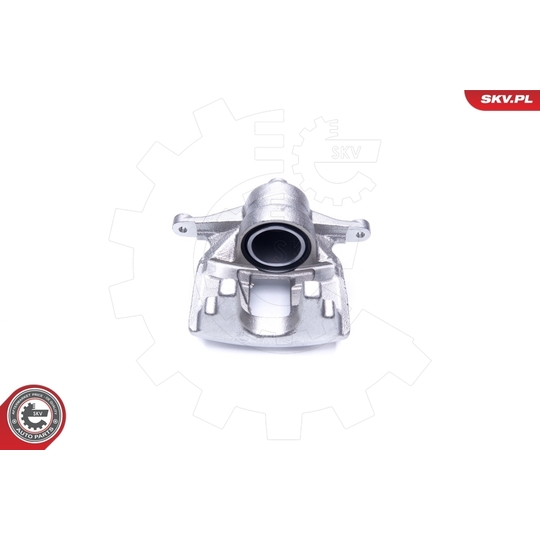 44SKV871 - Brake Caliper 