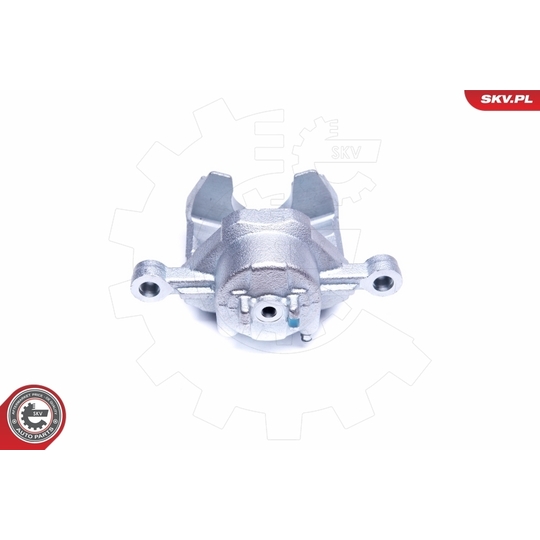 42SKV901 - Brake Caliper 