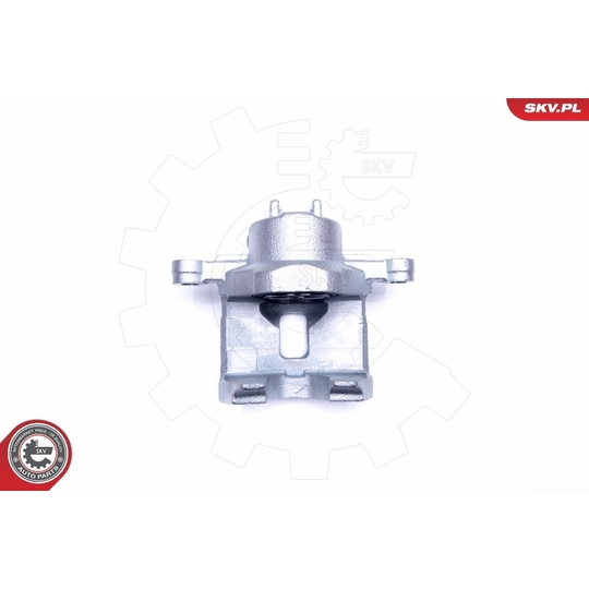 42SKV901 - Brake Caliper 