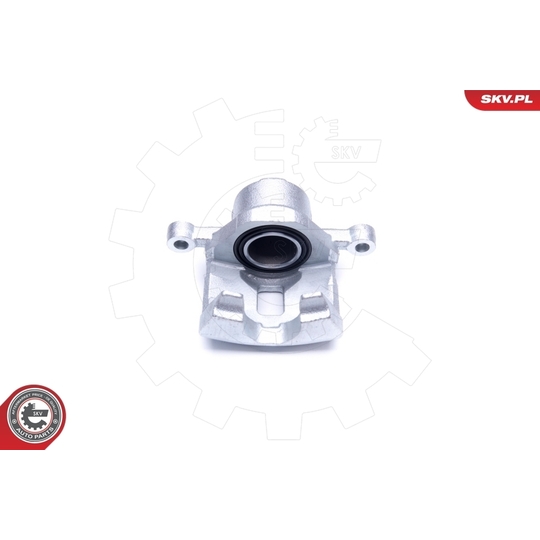 42SKV901 - Brake Caliper 