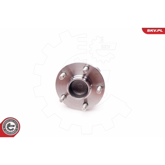 29SKV013 - Wheel Bearing Kit 