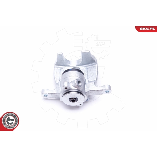 44SKV443 - Brake Caliper 