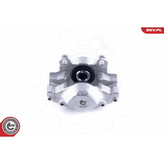 55SKV224 - Brake Caliper 