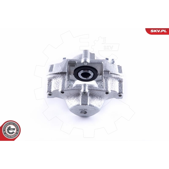 55SKV224 - Brake Caliper 