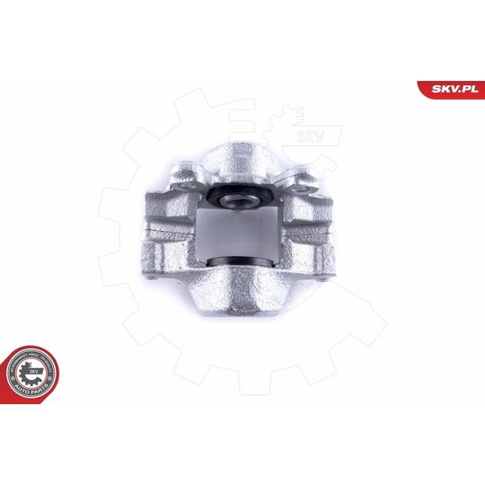 55SKV224 - Brake Caliper 