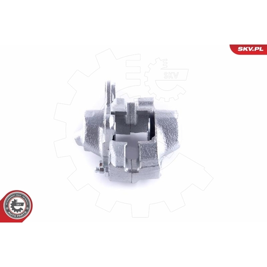 55SKV224 - Brake Caliper 