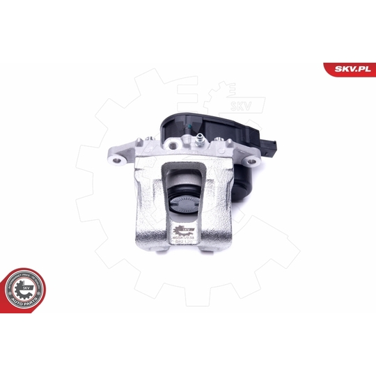 46SKV834 - Brake Caliper 