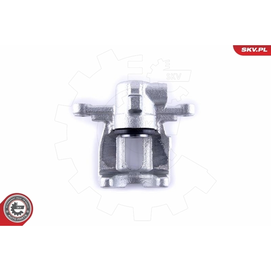 55SKV233 - Brake Caliper 