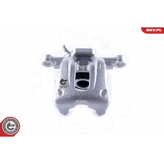 55SKV233 - Brake Caliper 