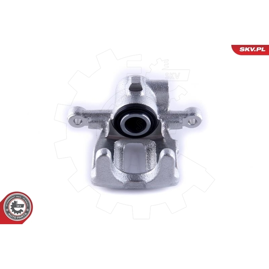 55SKV233 - Brake Caliper 