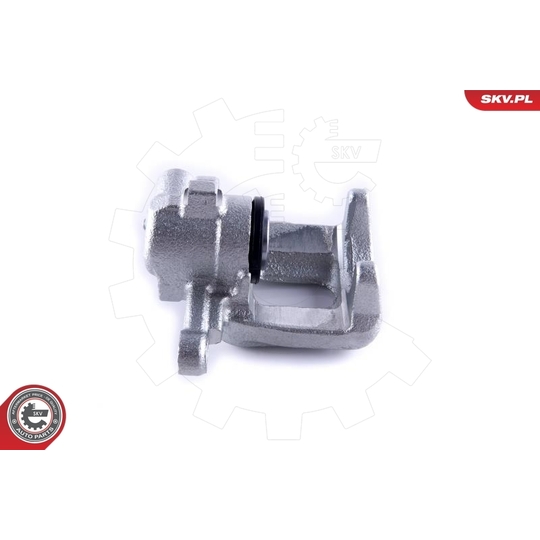 55SKV233 - Brake Caliper 