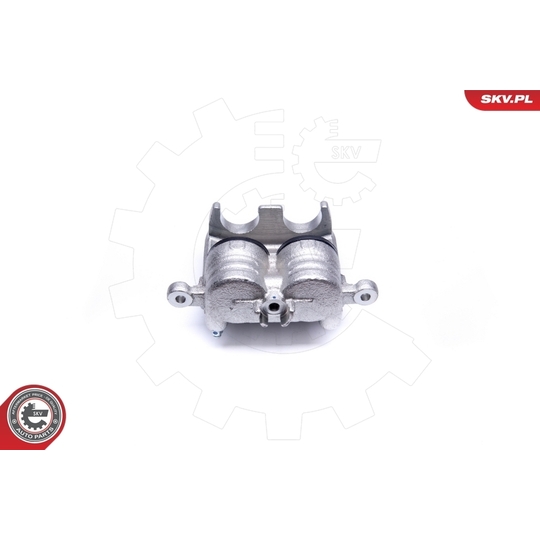 42SKV441 - Brake Caliper 