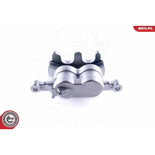 50SKV022 - Brake Caliper 