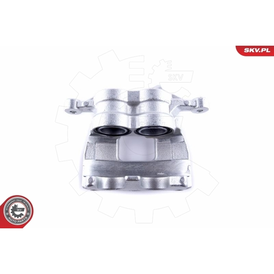 50SKV022 - Brake Caliper 