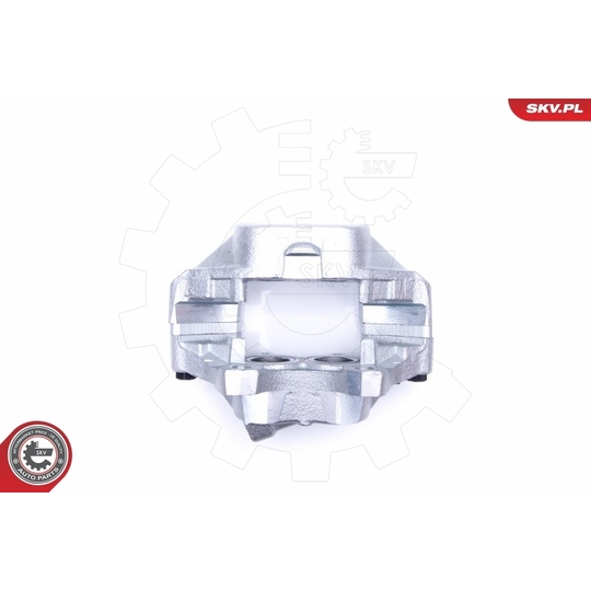 45SKV502 - Brake Caliper 