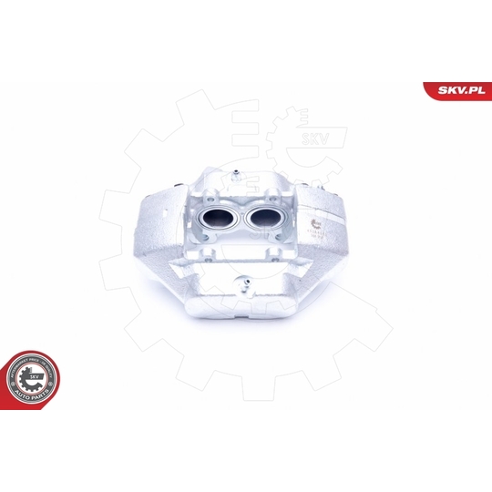 45SKV502 - Brake Caliper 