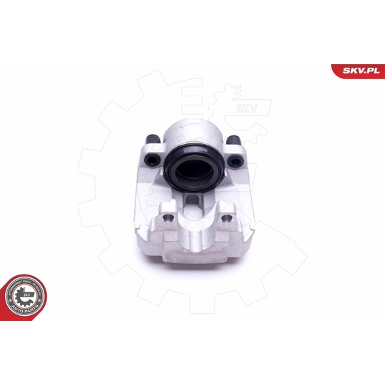 44SKV191 - Brake Caliper 