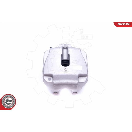 44SKV191 - Brake Caliper 