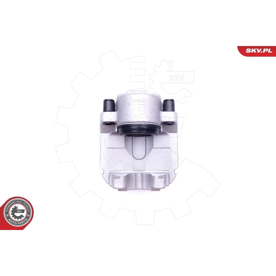 44SKV191 - Brake Caliper 