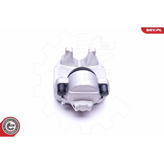 44SKV191 - Brake Caliper 