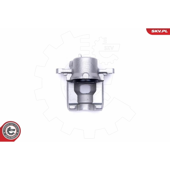 56SKV011 - Brake Caliper 