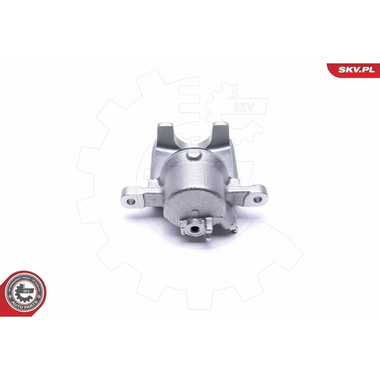 56SKV011 - Brake Caliper 