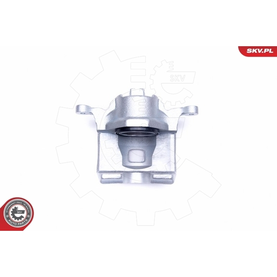 45SKV391 - Brake Caliper 