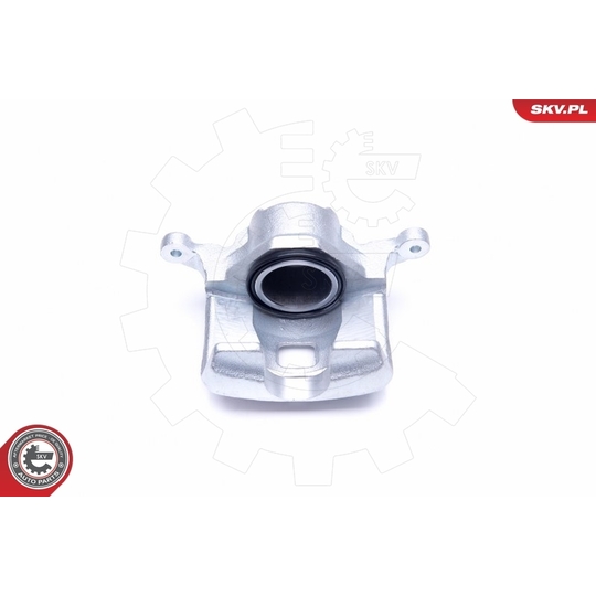 45SKV391 - Brake Caliper 