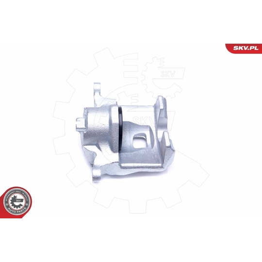 45SKV391 - Brake Caliper 