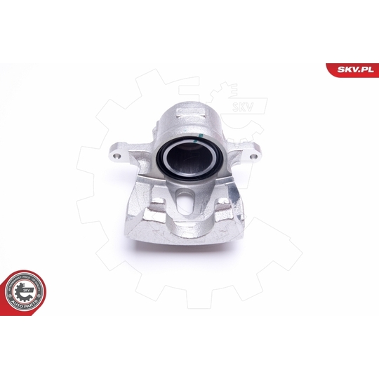 45SKV811 - Brake Caliper 