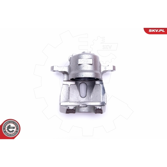 45SKV811 - Brake Caliper 