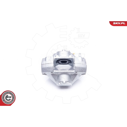 42SKV014 - Brake Caliper 