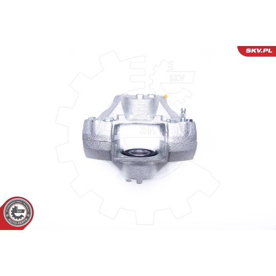 42SKV014 - Brake Caliper 