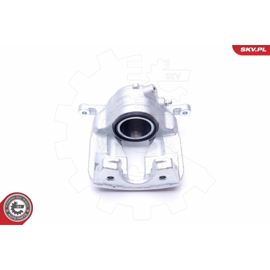 44SKV282 - Brake Caliper 