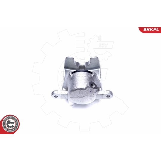 44SKV811 - Brake Caliper 