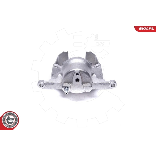 46SKV982 - Brake Caliper 