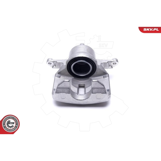 46SKV982 - Brake Caliper 