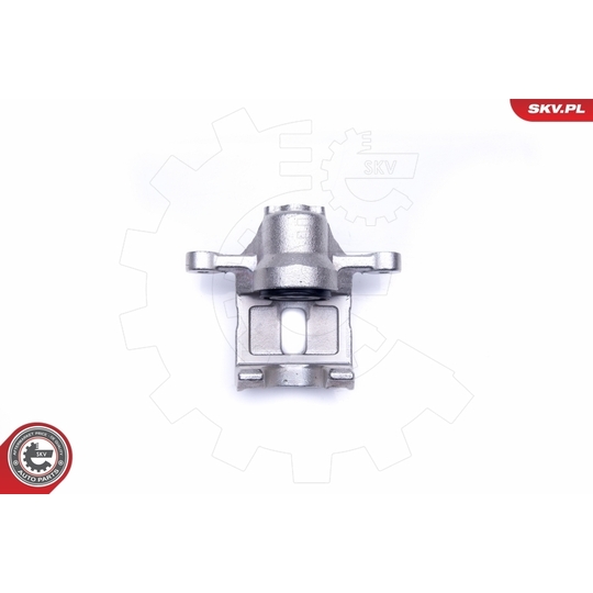 45SKV193 - Brake Caliper 