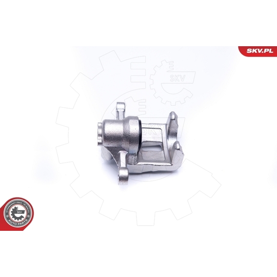 45SKV193 - Brake Caliper 