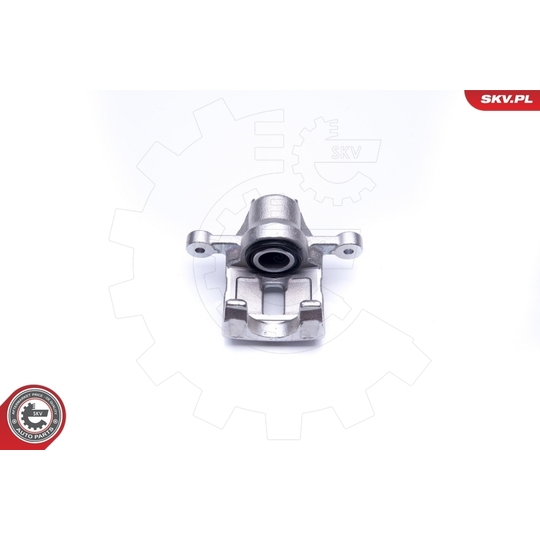 45SKV193 - Brake Caliper 